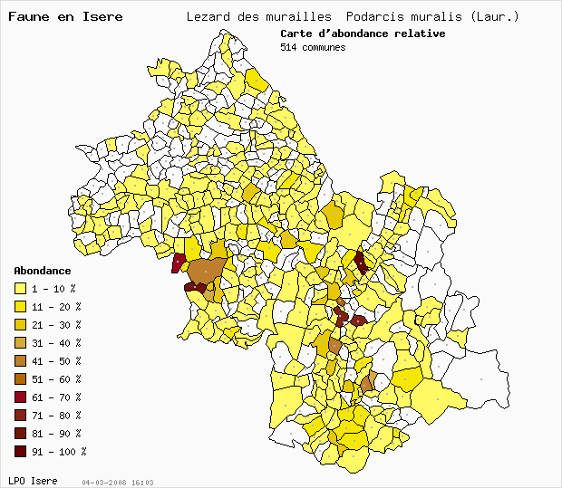 Carte Abondance: Lzard des murailles Podarcis muralis (Laur.) en Isre
