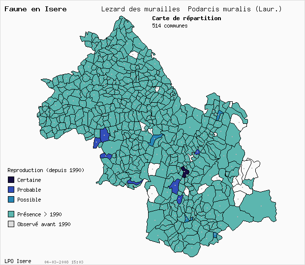 Carte Reproduction: Lzard des murailles Podarcis muralis (Laur.) en Isre