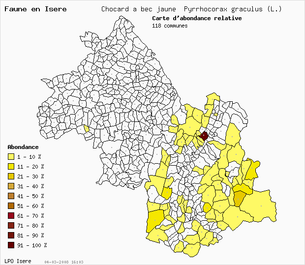 Carte Abondance: Chocard  bec jaune Pyrrhocorax graculus (L.) en Isre