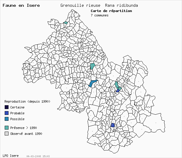 Carte Reproduction: Grenouille rieuse Rana ridibunda en Isre