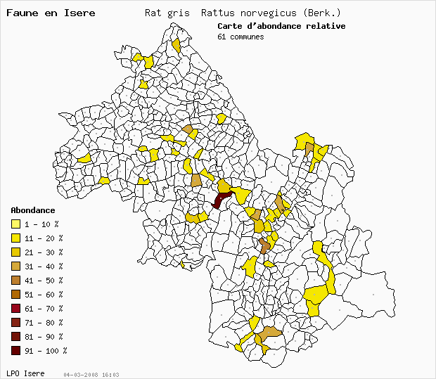 Carte Abondance: Rat gris Rattus norvegicus (Berk.) en Isre