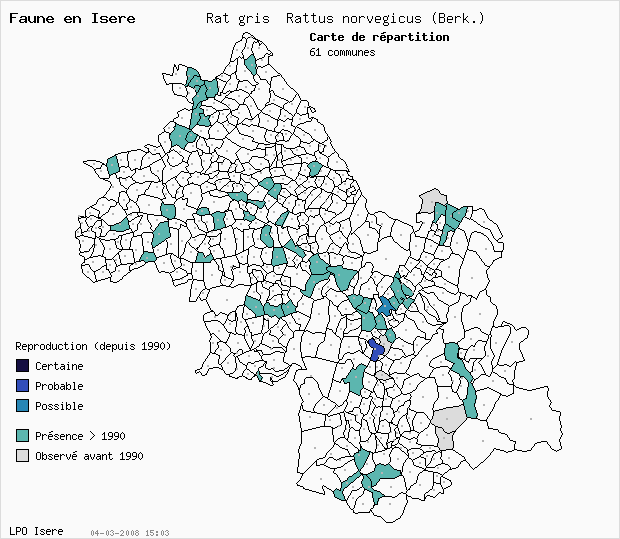 Carte Reproduction: Rat gris Rattus norvegicus (Berk.) en Isre