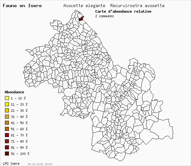 Carte Abondance: Avocette lgante Recurvirostra avosetta en Isre