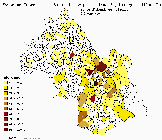 Carte Abondance: Roitelet  triple bandeau Regulus ignicapillus (Temm.) en Isre