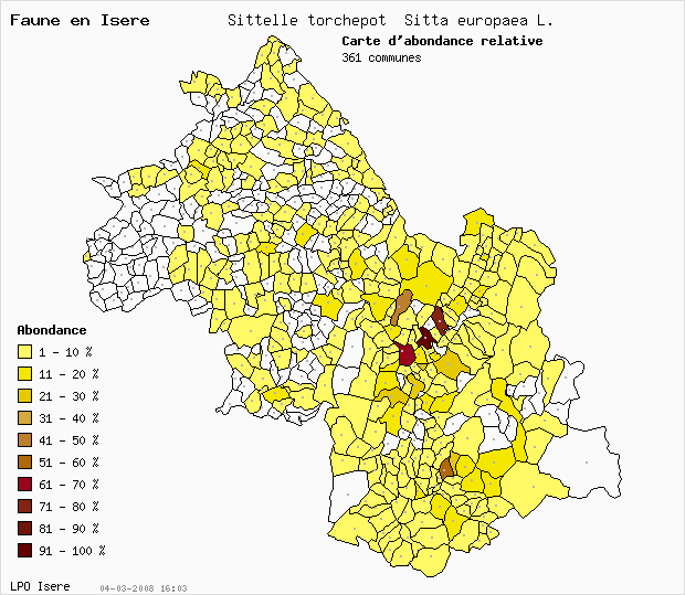 Carte Abondance: Sittelle torchepot Sitta europaea L. en Isre