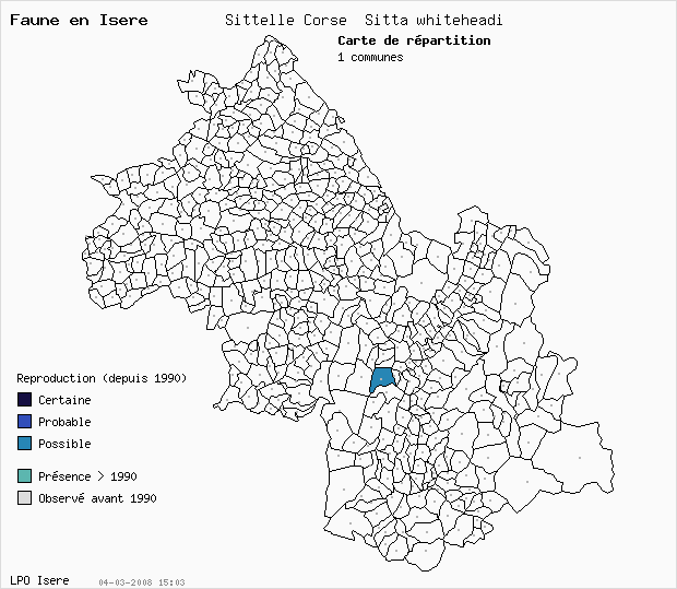 Carte Reproduction: Sittelle Corse Sitta whiteheadi en Isre