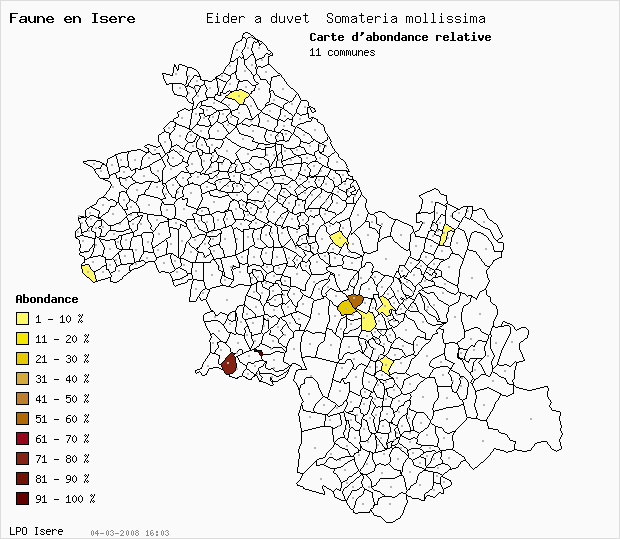 Carte Abondance: Eider  duvet Somateria mollissima en Isre