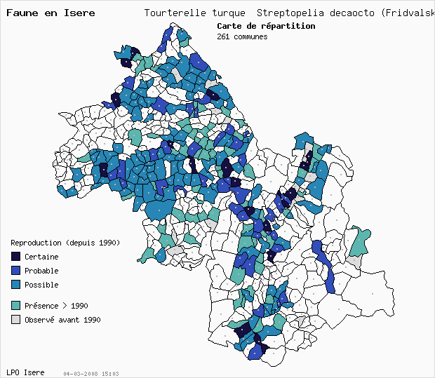 Carte Reproduction: Tourterelle turque Streptopelia decaocto (Fridvalsky) en Isre