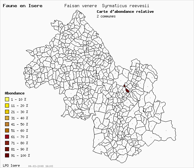 Carte Abondance: Faisan vnr Syrmaticus reevesii en Isre