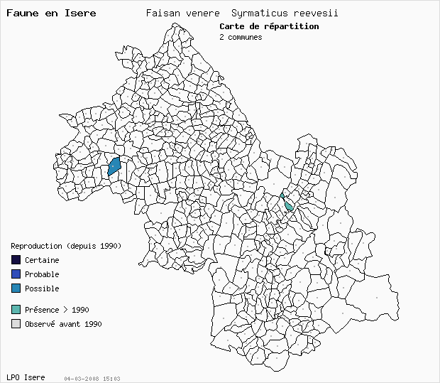 Carte Reproduction: Faisan vnr Syrmaticus reevesii en Isre