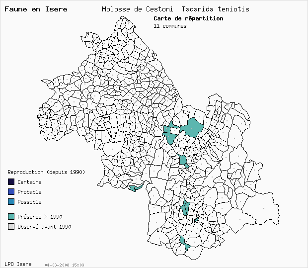 Carte Reproduction: Molosse de Cestoni Tadarida teniotis en Isre
