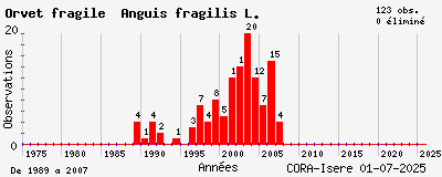 Evolution annuelle des observations de Orvet fragile Anguis fragilis L.