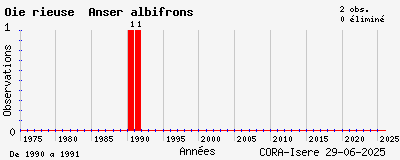 Evolution annuelle des observations de Oie rieuse Anser albifrons