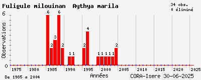 Evolution annuelle des observations de Fuligule milouinan Aythya marila
