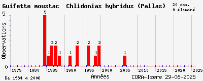 Evolution annuelle des observations de Guifette moustac Chlidonias hybridus (Pallas)