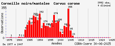 Evolution annuelle des observations de Corneille noire/mantelée Corvus corone