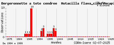 Evolution annuelle des observations de Bergeronnette à tête cendrée Motacilla flava_cinereocapilla