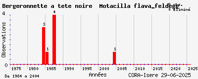 Evolution annuelle des observations de Bergeronnette à tête noire Motacilla flava_feldegg