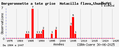 Evolution annuelle des observations de Bergeronnette à tête grise Motacilla flava_thunbergi