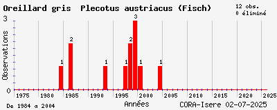 Evolution annuelle des observations de Oreillard gris Plecotus austriacus (Fisch)