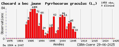 Evolution annuelle des observations de Chocard à bec jaune Pyrrhocorax graculus (L.)