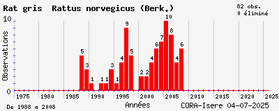 Evolution annuelle des observations de Rat gris Rattus norvegicus (Berk.)