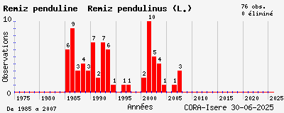 Evolution annuelle des observations de Rémiz penduline Remiz pendulinus (L.)