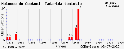 Evolution annuelle des observations de Molosse de Cestoni Tadarida teniotis