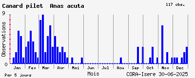 Observations saisonnires (par 5 jours) de Canard pilet Anas acuta