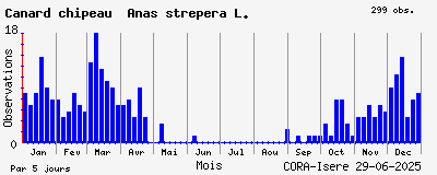 Observations saisonnires (par 5 jours) de Canard chipeau Anas strepera L.