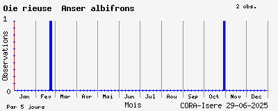Observations saisonnires (par 5 jours) de Oie rieuse Anser albifrons