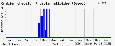 Observations saisonnires (par 5 jours) de Crabier chevelu Ardeola ralloides (Scop.)
