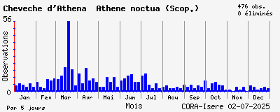 Observations saisonnires (par 5 jours) de Chevêche d_Athéna Athene noctua (Scop.)