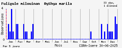 Observations saisonnires (par 5 jours) de Fuligule milouinan Aythya marila