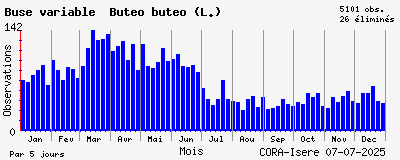 Observations saisonnires (par 5 jours) de Buse variable Buteo buteo (L.)