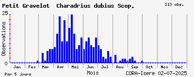 Observations saisonnires (par 5 jours) de Petit Gravelot Charadrius dubius Scop.