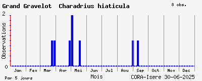 Observations saisonnires (par 5 jours) de Grand Gravelot Charadrius hiaticula