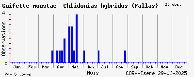 Observations saisonnires (par 5 jours) de Guifette moustac Chlidonias hybridus (Pallas)