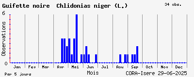 Observations saisonnires (par 5 jours) de Guifette noire Chlidonias niger (L.)