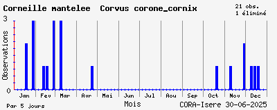 Observations saisonnires (par 5 jours) de Corneille mantelée Corvus corone_cornix