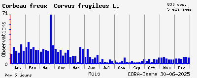 Observations saisonnires (par 5 jours) de Corbeau freux Corvus frugileus L.