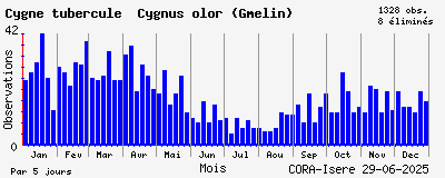 Observations saisonnires (par 5 jours) de Cygne tuberculé Cygnus olor (Gmelin)
