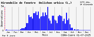 Observations saisonnires (par 5 jours) de Hirondelle de fenêtre Delichon urbica (L.)