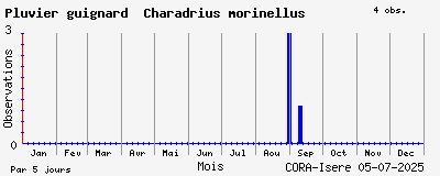 Observations saisonnires (par 5 jours) de Pluvier guignard Charadrius morinellus