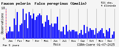 Observations saisonnires (par 5 jours) de Faucon pèlerin Falco peregrinus (Gmelin)