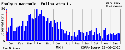 Observations saisonnires (par 5 jours) de Foulque macroule Fulica atra L.
