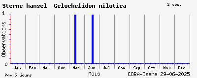 Observations saisonnires (par 5 jours) de Sterne hansel Gelochelidon nilotica