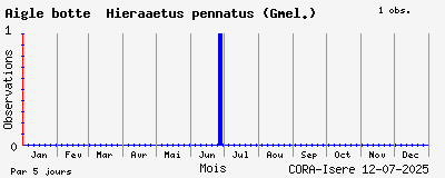 Observations saisonnires (par 5 jours) de Aigle botté Hieraaetus pennatus (Gmel.)