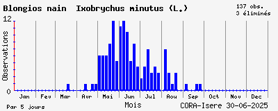 Observations saisonnires (par 5 jours) de Blongios nain Ixobrychus minutus (L.)