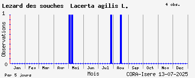 Observations saisonnires (par 5 jours) de Lézard des souches Lacerta agilis L.